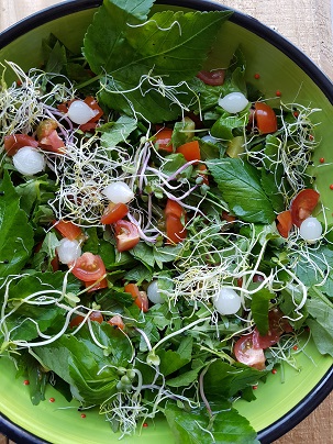 zevenbladpesto - vegan pesto – vegan – zevenblad – vegan recepten – zevenblad recepten – vegan eten – vegan food – vegan magazine – vegan tijdschrift – veganistisch recept – veganistisch eten – veganistische pesto – zevenblad salade – vegen salade van zevenblad – zevenblad stamppot – zevenblad soep – vegan soep – veganistische soep – veganistische stamppot – zevenblad in bladerdeeg - vegan tijdschrift