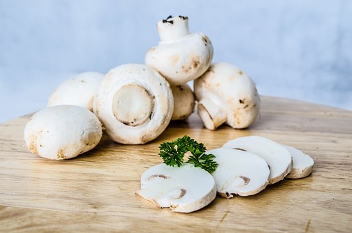champignons - eetbare paddenstoelen - oesterzwammen - vegan food
