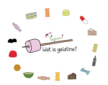 wat is gelatine gelatine