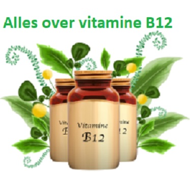 Vitamine B12, wat is het en waar zit het in?