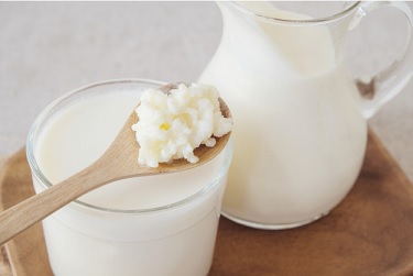 wat is het verschil tussen melk en water kefir?
