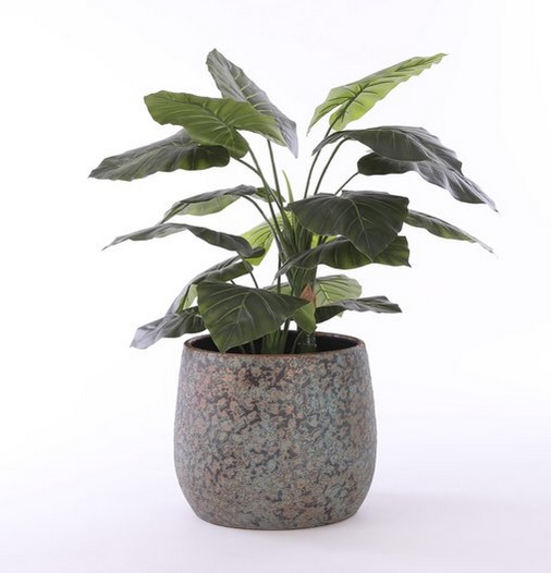 Trek loterij Afvoer Terracotta potten doen iets wat niet zo fijn is voor je planten. Zo kun je  het voorkomen! | Vegalifestyle Magazine