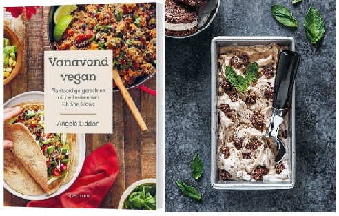 vanavond vegan een super lekker kookboek met vegan gerechten en de lekkerste recepten