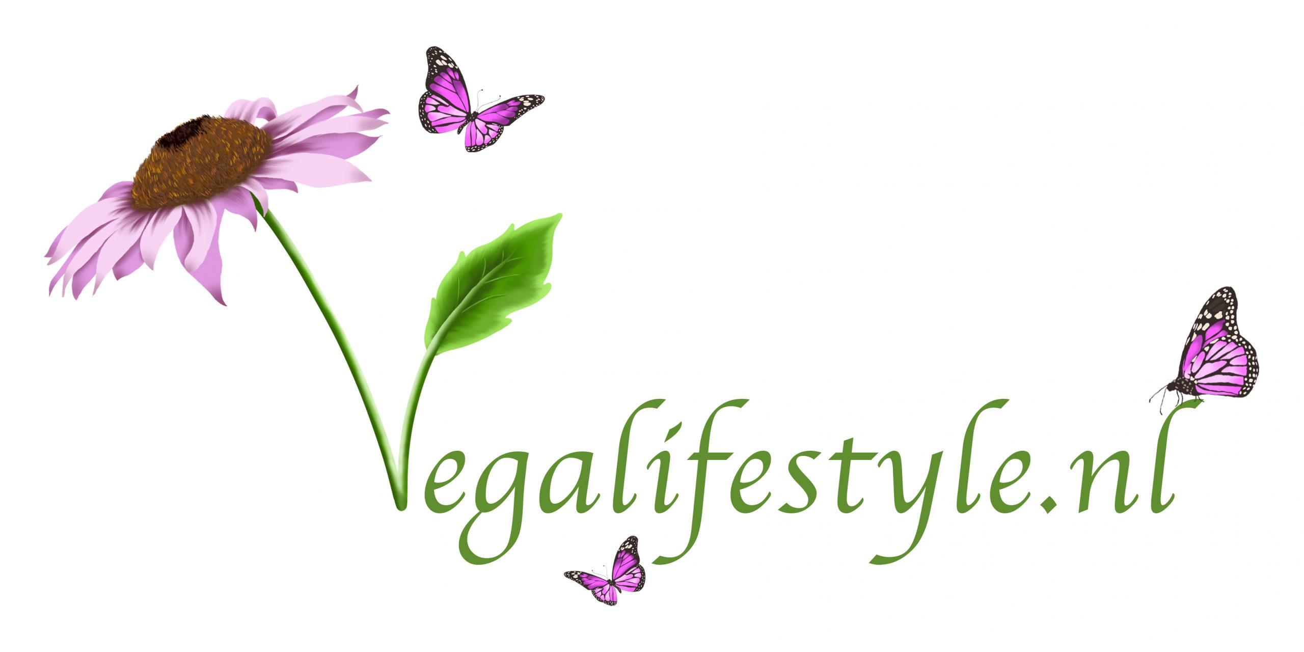 Vegalifestyle Magazine