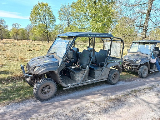 jeep safari in Drenthe