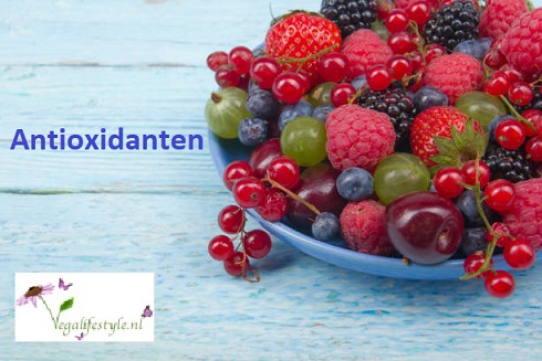 antioxidanten wat zijn dat eigemlijk?