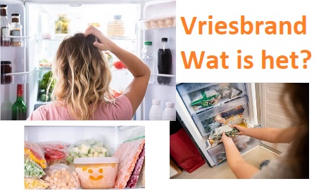 Vegalifestyle Magazine Het Vegan Online Magazine Van Nederland