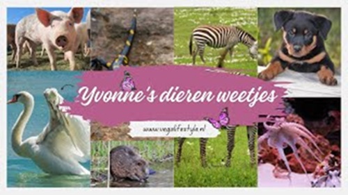 Yvonne's dierenweetjes