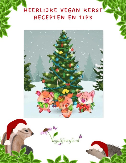 Vegan kerst